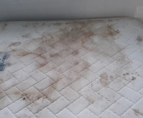 Những Hiểm Họa Vô Hình Từ Nệm Bẩn Và Sofa Bẩn Mà Bạn Không Ngờ Tới