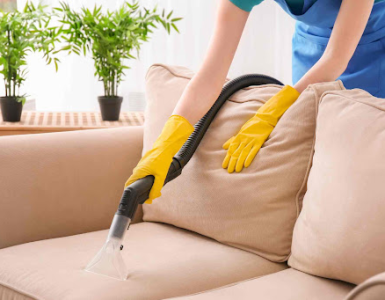 Dịch vụ vệ sinh sofa