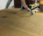 Công Ty Tnhh Dịch Vụ Vệ Sinh 5S